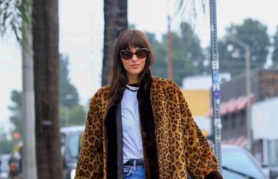 Dakota Johnson's Chic Los Angeles Outing